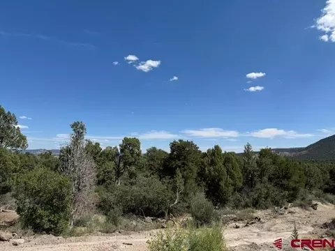 2519 Green Shadows Rd, Durango, CO 81303 photo 10