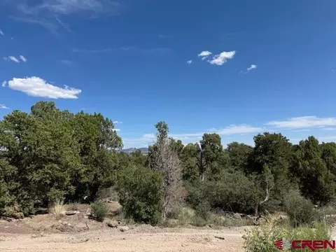 2519 Green Shadows Rd, Durango, CO 81303 photo 9