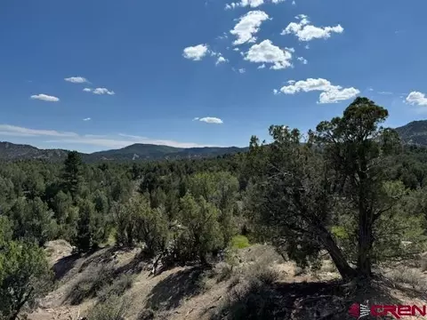 2519 Green Shadows Rd, Durango, CO 81303 photo 3
