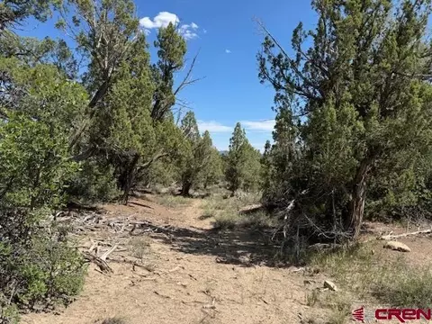 2519 Green Shadows Rd, Durango, CO 81303 photo 12