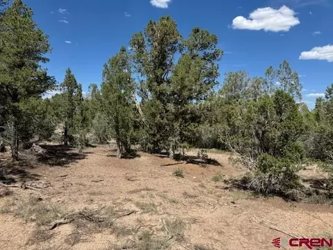 2519 Green Shadows Rd, Durango, CO 81303 photo 15