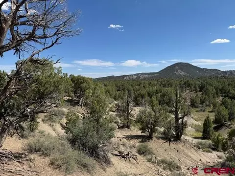 2519 Green Shadows Rd, Durango, CO 81303 photo 5