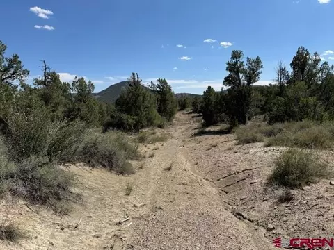 2519 Green Shadows Rd, Durango, CO 81303 photo 11