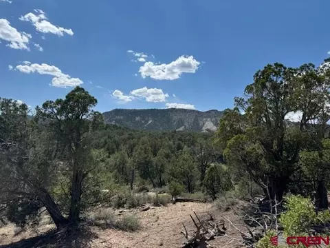 2519 Green Shadows Rd, Durango, CO 81303 photo 2