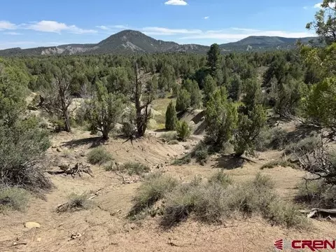 2519 Green Shadows Rd, Durango, CO 81303 photo 6