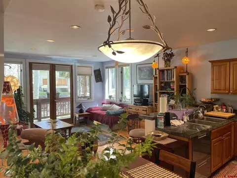 619 W Columbia Ave #C-112, Telluride, CO 81435