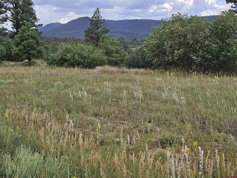 250 Prospect Blvd, Pagosa Springs, CO 81147