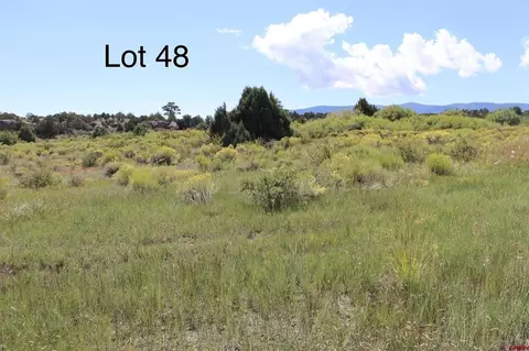180 Raton Crk, Monte Vista, CO 81144