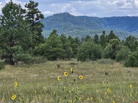 162 Prospect Blvd, Pagosa Springs, CO 81147