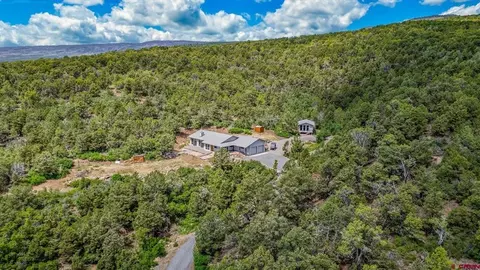 19701 San Juan Vista Rd, Cedaredge, CO 81413