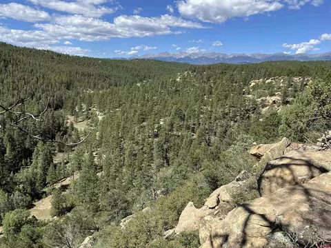 14200 County Road 288, Weston, CO 81082