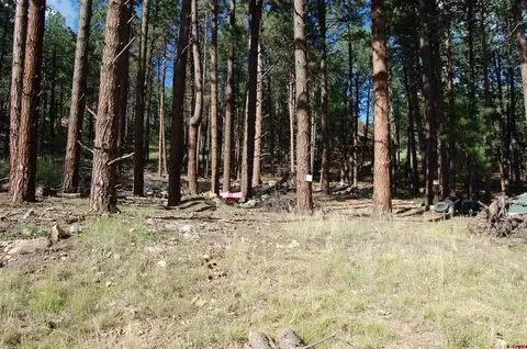 263 E Forest Lakes Dr, Bayfield, CO 81122