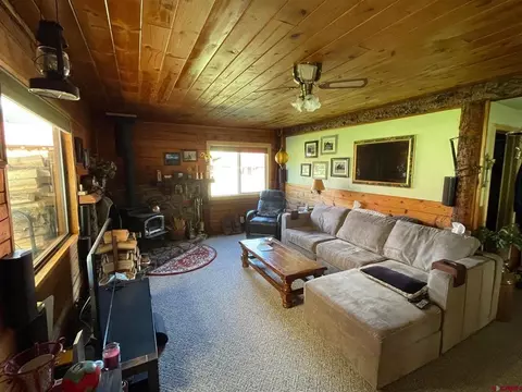 Living - 204 Main St, Pitkin, CO 81241 photo 1 of 3