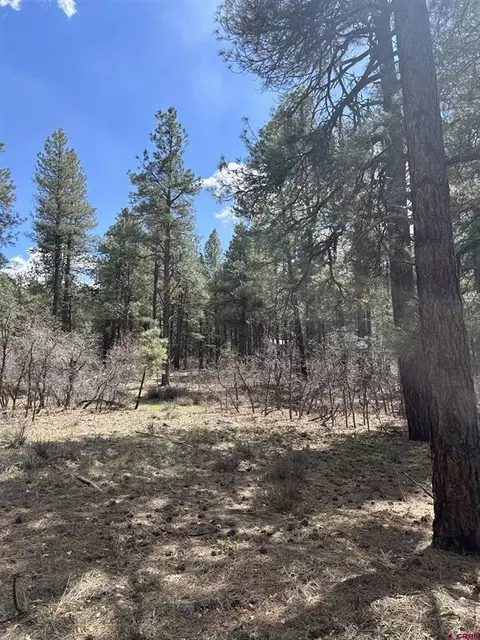 223 Deans Pl, Pagosa Springs, CO 81147