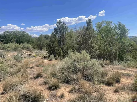 818 Stratton Dr, Cortez, CO 81321 photo 8