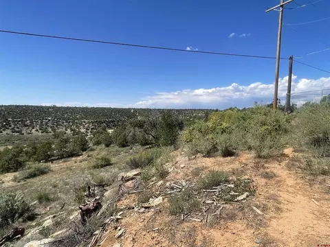 818 Stratton Dr, Cortez, CO 81321 photo 7