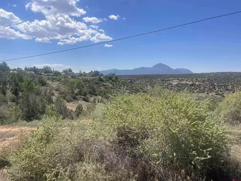 818 Stratton Dr, Cortez, CO 81321 photo 5