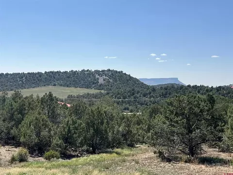 lot8 Road 414, Mancos, CO 81328