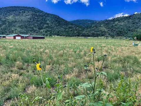 tbd Hidden View Dr, South Fork, CO 81154
