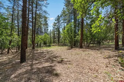 57 99 Thompson Ln, Durango, CO 81301