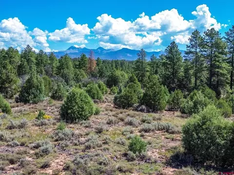 lot1 Road 392, Mancos, CO 81328