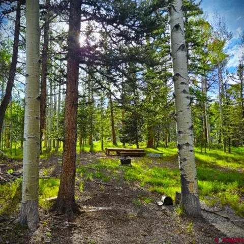 160 Lake Rd, Cimarron, CO 81220 photo 14