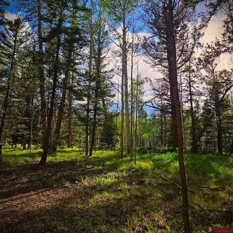 160 Lake Rd, Cimarron, CO 81220 photo 15