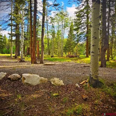 160 Lake Rd, Cimarron, CO 81220 photo 9