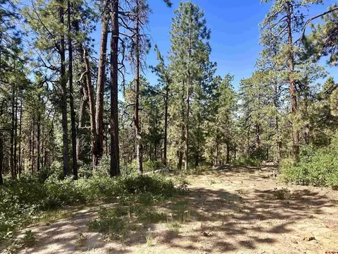 416 438 Pine Ridge Dr, Bayfield, CO 81122