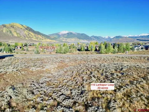 115 Larkspur Loop, Crested Butte, CO 81224 photo 12