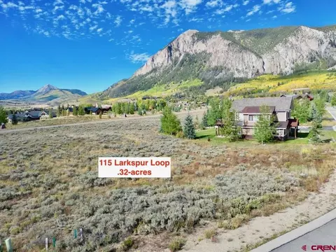 115 Larkspur Loop, Crested Butte, CO 81224 photo 4