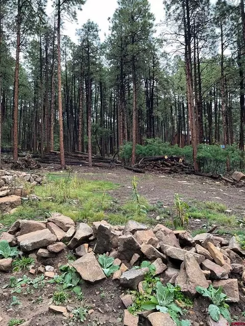 405 Buckhorn Rd, Bayfield, CO 81122