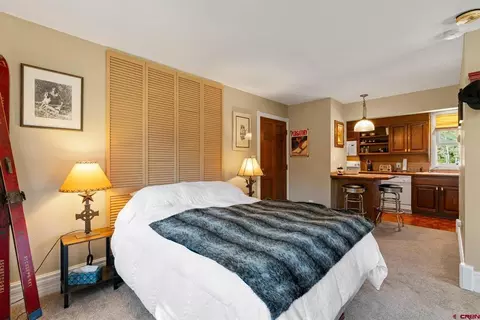 308 Silver Queen #101C, Durango, CO 81301