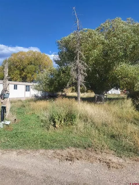 920 Market St, Norwood, CO 81423