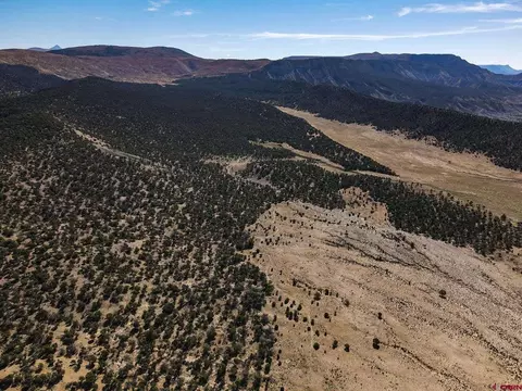 7676 County Road 28t, Norwood, CO 81325