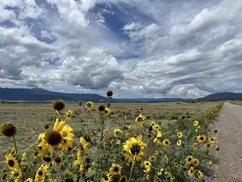 tbd County Road 71, Del Norte, CO 81132