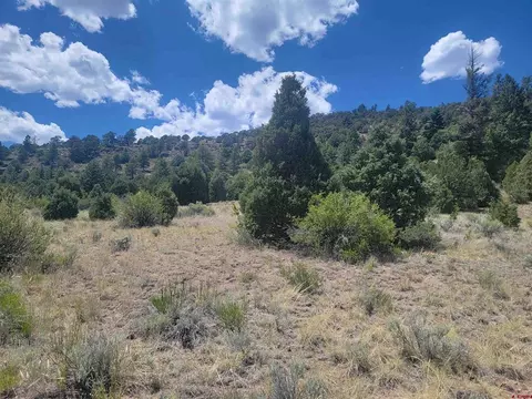 1287 Bear Creek Cir, South Fork, CO 81154