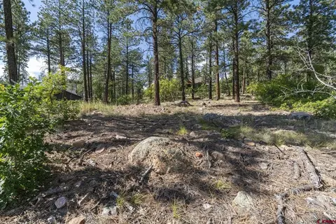 123 Boulder View Dr, Durango, CO 81301 photo 9