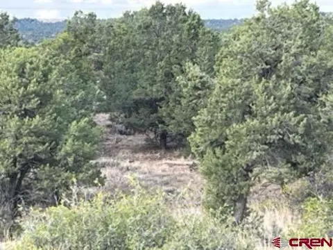 16987 Road 288, Dolores, CO 81323