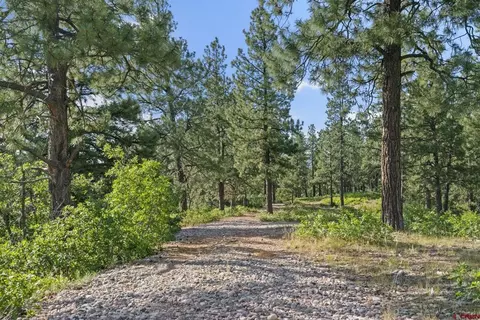 1102 Sheep Springs Rd, Durango, CO 81301