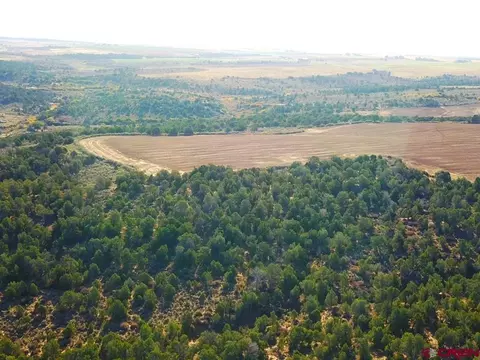 27502 Road 12, Pleasant View, CO 81331