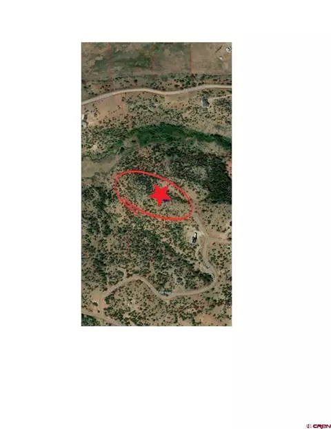 80 Wolf Den Ct, South Fork, CO 81154