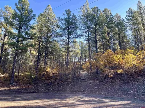 65 Chickadee Ct, Pagosa Springs, CO 81147
