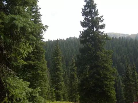 tbd County Road 14, Silverton, CO 81433
