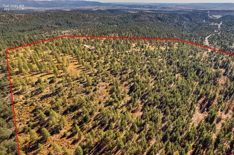 lot3 Foxfire Rnch, Bayfield, CO 81122