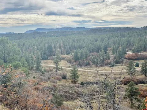 633 E Mccabe St, Pagosa Springs, CO 81147