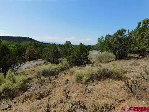 240 SE Flintlock Ct, Cedaredge, CO 81413 photo 3