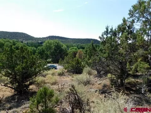 240 SE Flintlock Ct, Cedaredge, CO 81413 photo 6