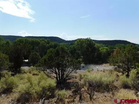 240 SE Flintlock Ct, Cedaredge, CO 81413 photo 7