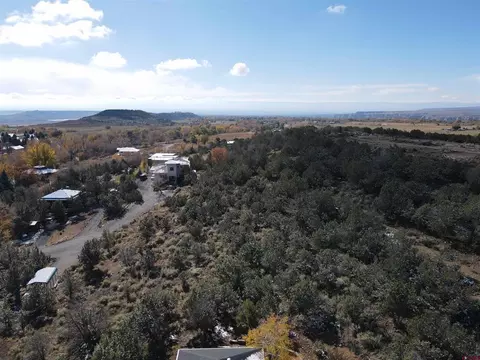 240 SE Flintlock Ct, Cedaredge, CO 81413 photo 11
